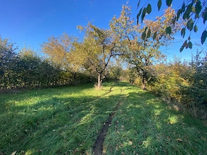 Teren extravilan 3200mp zona Tropinii Vechi - imagine 2
