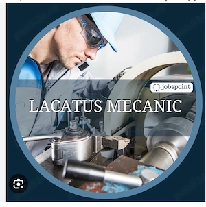 Angajam Urgent Lacatusi Mecanici