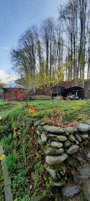 Cabana 4 camere zona Valea Avrigului - imagine 5