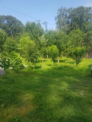 Cabana 4 camere zona Valea Avrigului - imagine 6