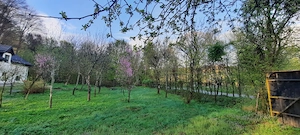 Cabana 4 camere zona Valea Avrigului - imagine 20