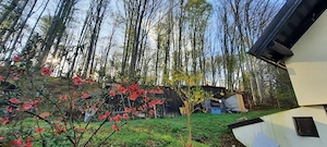 Cabana 4 camere zona Valea Avrigului - imagine 19