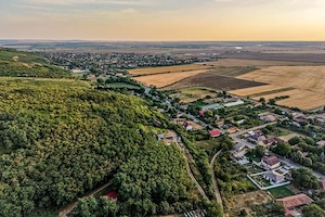 Teren pe deal, 1.150 mp, în Miniș, front 26 m, Drumul Vinului - imagine 2