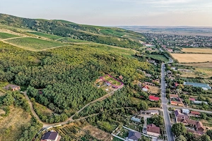 Teren pe deal, 1.150 mp, în Miniș, front 26 m, Drumul Vinului - imagine 4