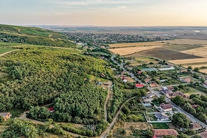 Teren pe deal, 1.150 mp, în Miniș, front 26 m, Drumul Vinului - imagine 10