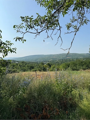 Vand teren intravilan in Comarna asfalt   curent 20 km de iasi