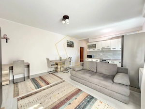 Apartament cu 2 camere complet mobilat si utilat in Braytim langa Musicescu.