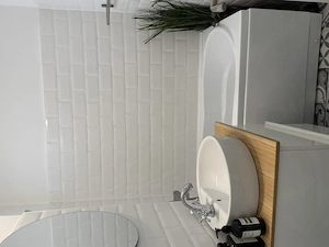 Apartament 2 camere, Piata Victoriei, Iacob Felix - imagine 9