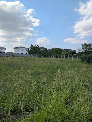 Teren de vânzare Dumbrăvița, str. Crișurilor - imagine 3