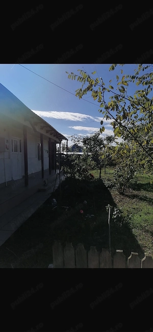 Casa cu curte la tara - imagine 4