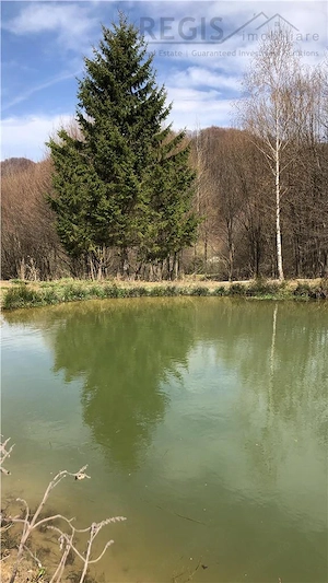 Vila premium cu lac privat si panorama catre Masivul Postavaru | Cheile Rasnoavei - imagine 11