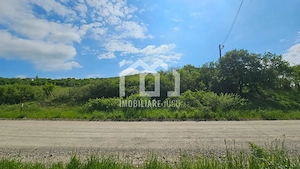 Teren cu vedere la Lacul 2 – 2.103 mp | Câmpenești