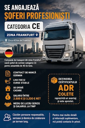 Șofer CE 40 Tone Germania Intern 