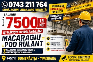 Fabrica de prefabricate din beton angajeaza MACARAGIU
