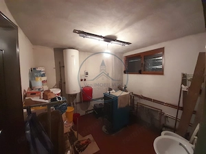 Casa individuala 4787mp teren,zona RUSU BARGAULUI - imagine 15