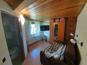 Casa individuala 4787mp teren,zona RUSU BARGAULUI - imagine 14