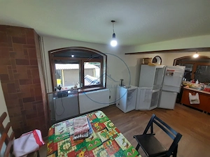 Casa individuala 4787mp teren,zona RUSU BARGAULUI - imagine 18