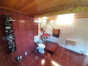 Casa individuala 4787mp teren,zona RUSU BARGAULUI - imagine 20