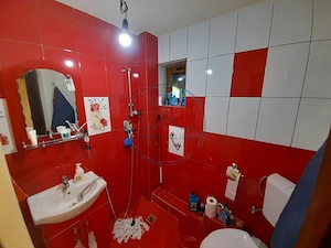 Casa individuala 4787mp teren,zona RUSU BARGAULUI - imagine 16