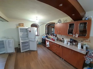 Casa individuala 4787mp teren,zona RUSU BARGAULUI - imagine 19