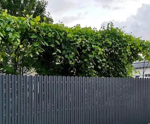 Construim Garduri si Porti pe Camanda 