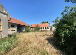 De vânzare   Proprietate în Chevereșu Mare, județul Timiș - imagine 2