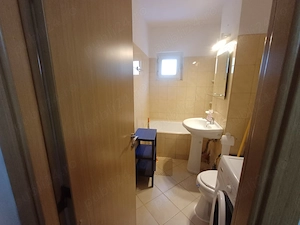 Zona Sagului Str.Luceafarul de inchiriat apartament cu 1 camera - imagine 3