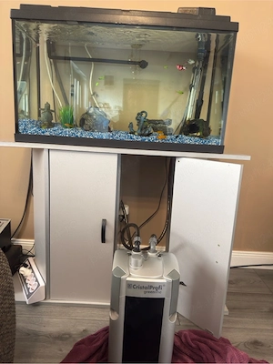 Acvariu 120l complet echipat + 20 pesti - imagine 5