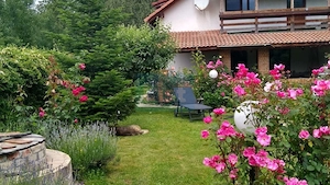 House for sale, 5 Rooms, 180 sqm, Valea Dejani - imagine 9
