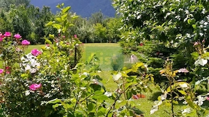 House for sale, 5 Rooms, 180 sqm, Valea Dejani - imagine 12