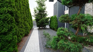 Casa de lux cu teren 2000mp zona Turnisor - imagine 7