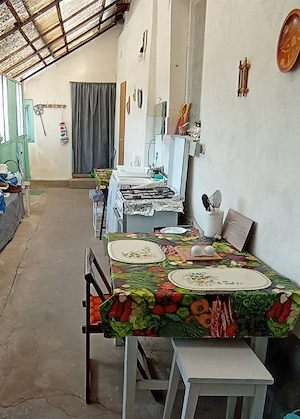 De vânzare casă în localitatea Draut,Târnova, judetul Arad  - imagine 9
