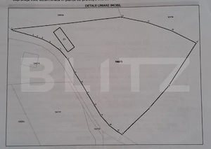 Construcție 95 mp + Teren 4.807 mp – Satul Peștera, Moieciu - imagine 2