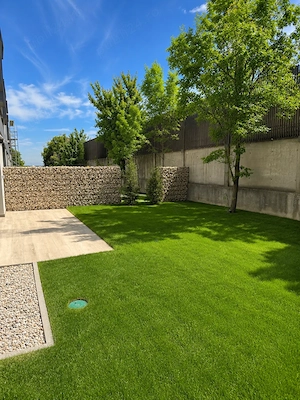 Vilă premium P+2 cu lift | 5 camere, 285 m  utili | Pipera 180 - lângă Școala Americană - imagine 3