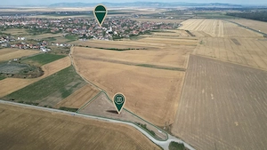 Teren intravilan de 5.000 mp în PUG Vladimirescu - imagine 5