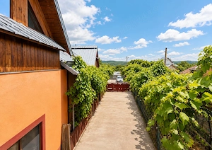 Casa de vanzare , aprox. 10 km de Pitesti , Golesti , Stefanesti , Arges  - imagine 12
