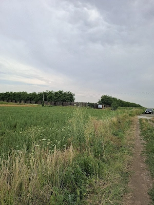 Teren extravilan de  Vanzare in PRECISTANU(Garoafa)- VRANCEA - imagine 4