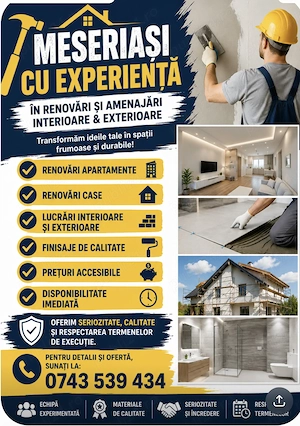 Meseriasi in renovări 