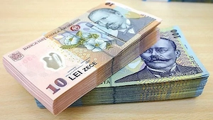 Puncte si titluri de plata anrp.