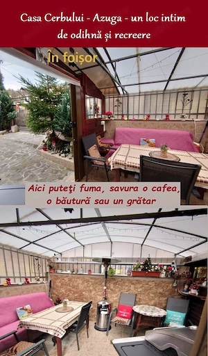 Cazare Azuga Casa Cerbului*** apartament vilă maxim 6 pers. - imagine 5