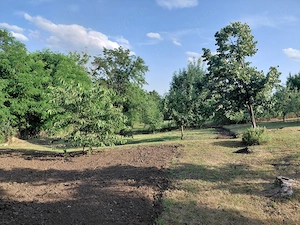Vânzare teren pentru construcție locuință