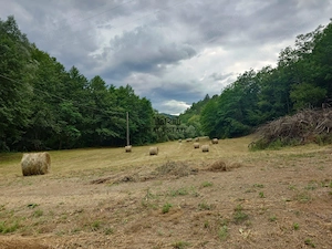 Un colt de natura intre padure si parau - imagine 11
