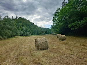 Un colt de natura intre padure si parau - imagine 9