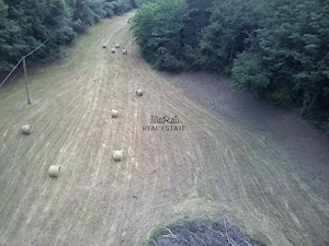 Un colt de natura intre padure si parau - imagine 13