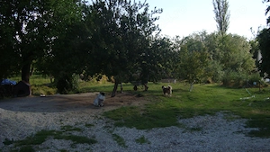 Vand Casa din caramida cu gradina loc de joaca pentru nepoti zona linistita - imagine 2