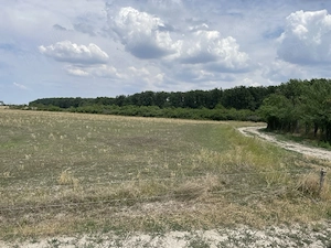 DIRECT PROPRIETAR   Casă tradițională și teren 3.219 mp în Căuașd (Bihor) - imagine 10