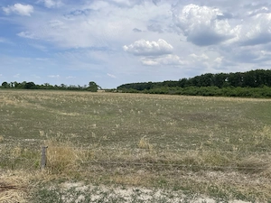 DIRECT PROPRIETAR   Casă tradițională și teren 3.219 mp în Căuașd (Bihor) - imagine 9