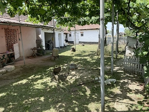 DIRECT PROPRIETAR   Casă tradițională și teren 3.219 mp în Căuașd (Bihor) - imagine 5