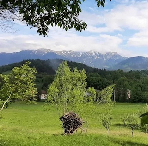 Vând Teren Moieciu de Jos   Proprietar  1,250 mp in spatele cofetariei Panner