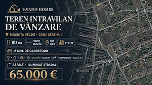 Oportunitate - Parcela teren Mosnita - Pozitie centrala